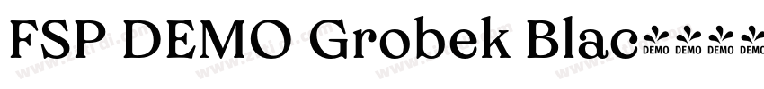 FSP DEMO Grobek Blac字体转换